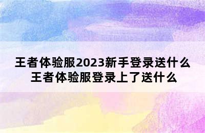 王者体验服2023新手登录送什么 王者体验服登录上了送什么